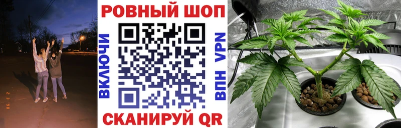 Где можно купить наркотики Тихвин Каннабис  АМФ  А ПВП  ГАШ  Меф мяу мяу 