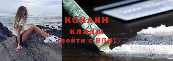 гашик Арсеньев