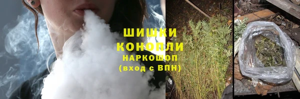 гашик Арсеньев