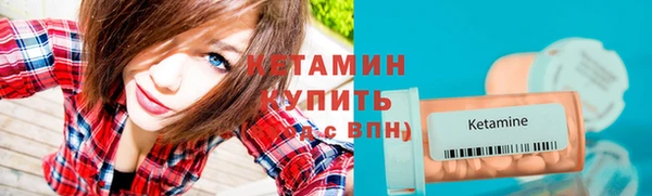 крисы Аркадак