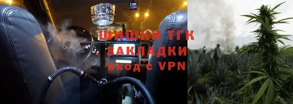 гашик Арсеньев