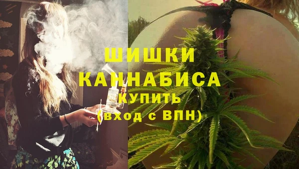крисы Аркадак
