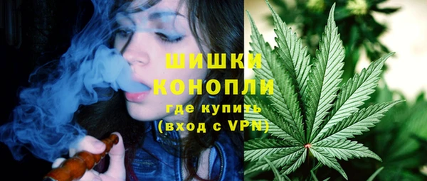крисы Аркадак