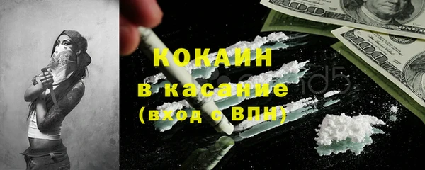 гашик Арсеньев