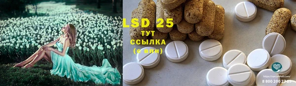 крисы Аркадак